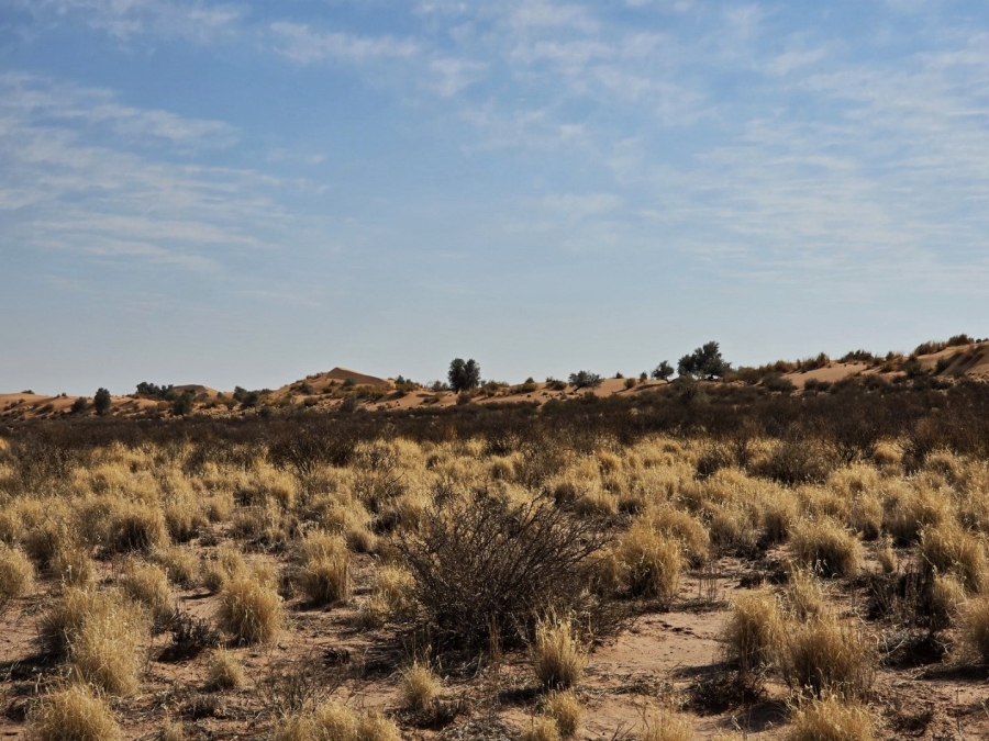 Commercial Property for Sale in Upington Rural Northern Cape